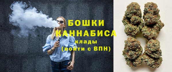 гидра Балахна