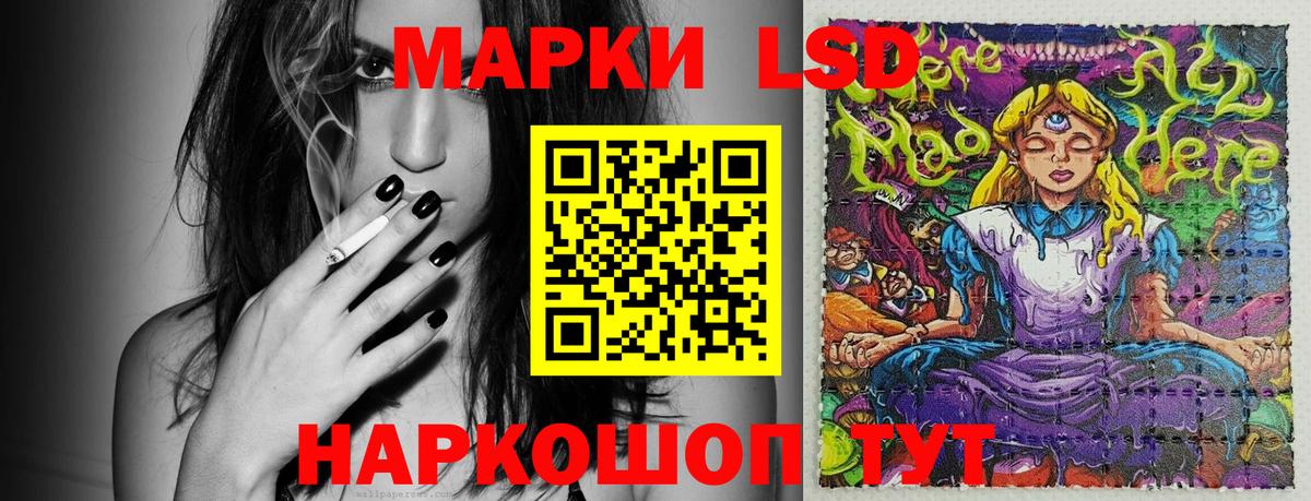 где купить наркотик  Наркотические марки 1500мкг  Наркотические марки 1500мкг  Вход с VPN  Дагестанские Огни 