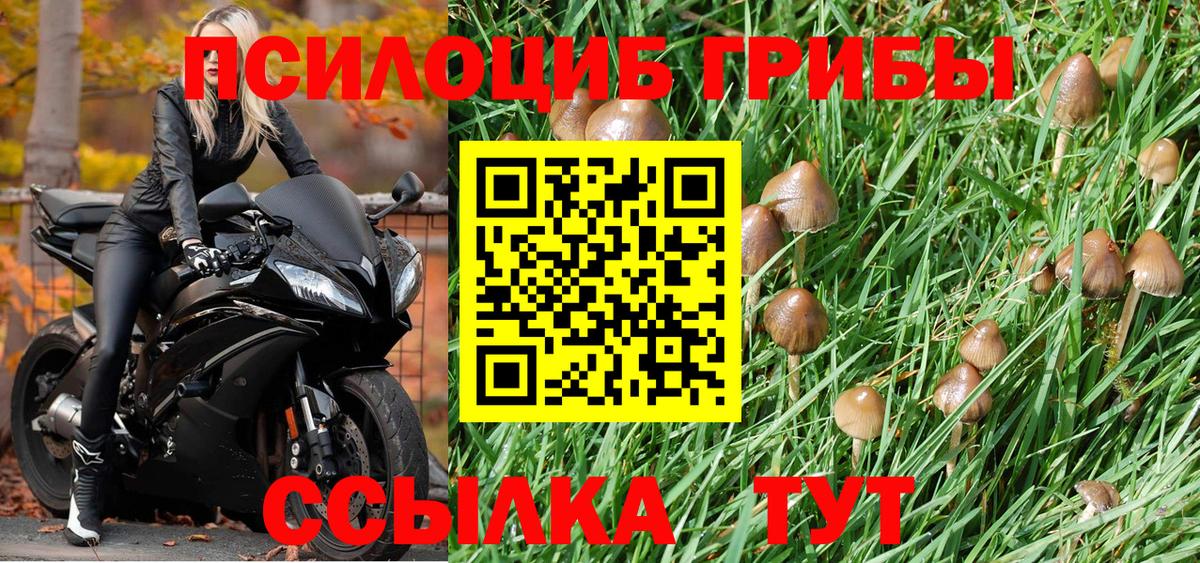 Псилоцибиновые грибы GOLDEN TEACHER Дагестанские Огни