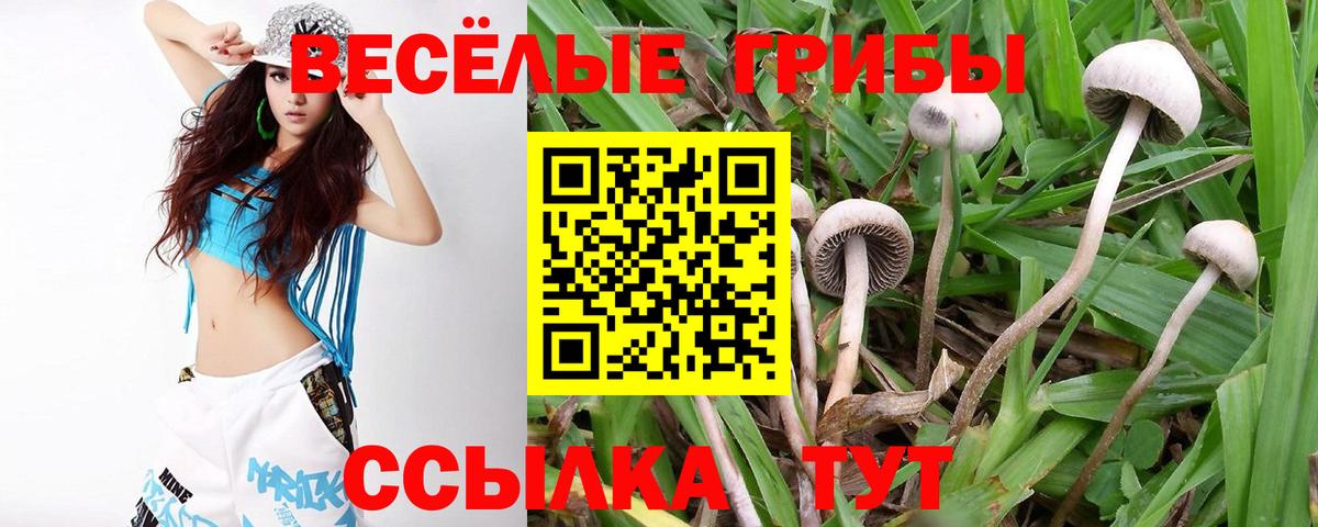 Галлюциногенные грибы ЛСД  Вход с VPN  Дагестанские Огни 